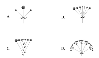 2020年國家公務(wù)員考試行測真題及答案（副省級）